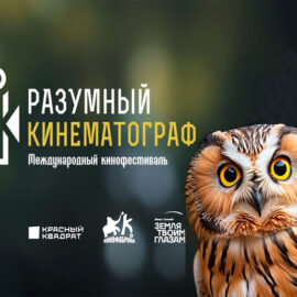 Международный кинофестиваль «Разумный кинематограф»